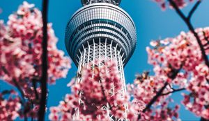 Preview wallpaper tower, sakura, flowers, architecture, building, spring
