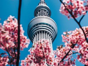 Preview wallpaper tower, sakura, flowers, architecture, building, spring