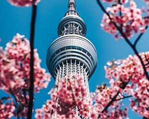Preview wallpaper tower, sakura, flowers, architecture, building, spring