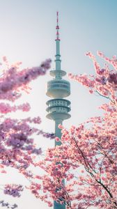 Preview wallpaper tower, sakura, flowers, branches, japan