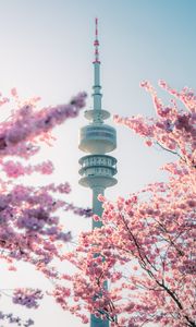 Preview wallpaper tower, sakura, flowers, branches, japan