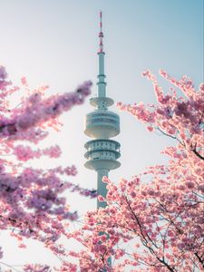 Preview wallpaper tower, sakura, flowers, branches, japan