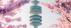 Preview wallpaper tower, sakura, flowers, branches, japan