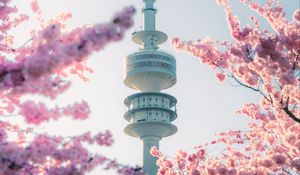 Preview wallpaper tower, sakura, flowers, branches, japan