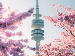 Preview wallpaper tower, sakura, flowers, branches, japan