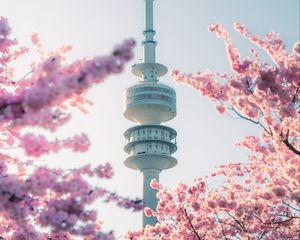 Preview wallpaper tower, sakura, flowers, branches, japan