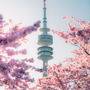 Preview wallpaper tower, sakura, flowers, branches, japan