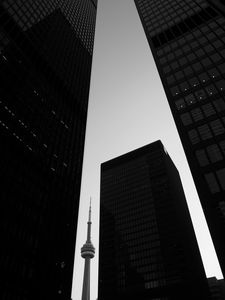 Preview wallpaper tower, skyscrapers, buildings, black and white, architecture