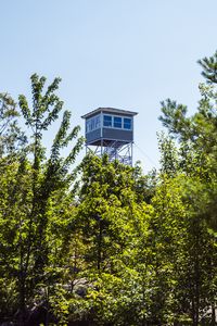 Preview wallpaper tower, trees, leaves, sky