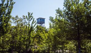 Preview wallpaper tower, trees, leaves, sky