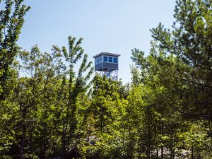 Preview wallpaper tower, trees, leaves, sky