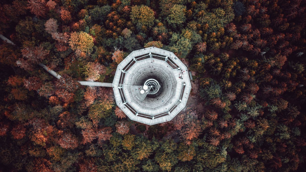 Wallpaper tower, trees, view from above, bad wildbad, germany