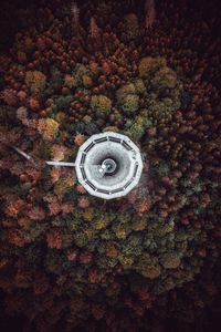 Preview wallpaper tower, trees, view from above, bad wildbad, germany