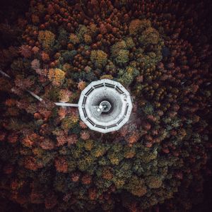 Preview wallpaper tower, trees, view from above, bad wildbad, germany