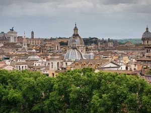 Preview wallpaper towers, buildings, roofs, architecture, trees, city