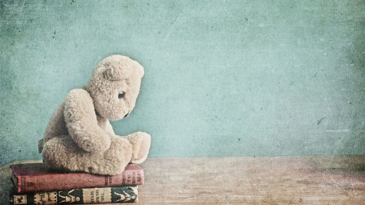 Wallpaper toy, bear, teddy, books