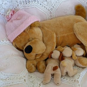 Preview wallpaper toy, dog, puppies, cap