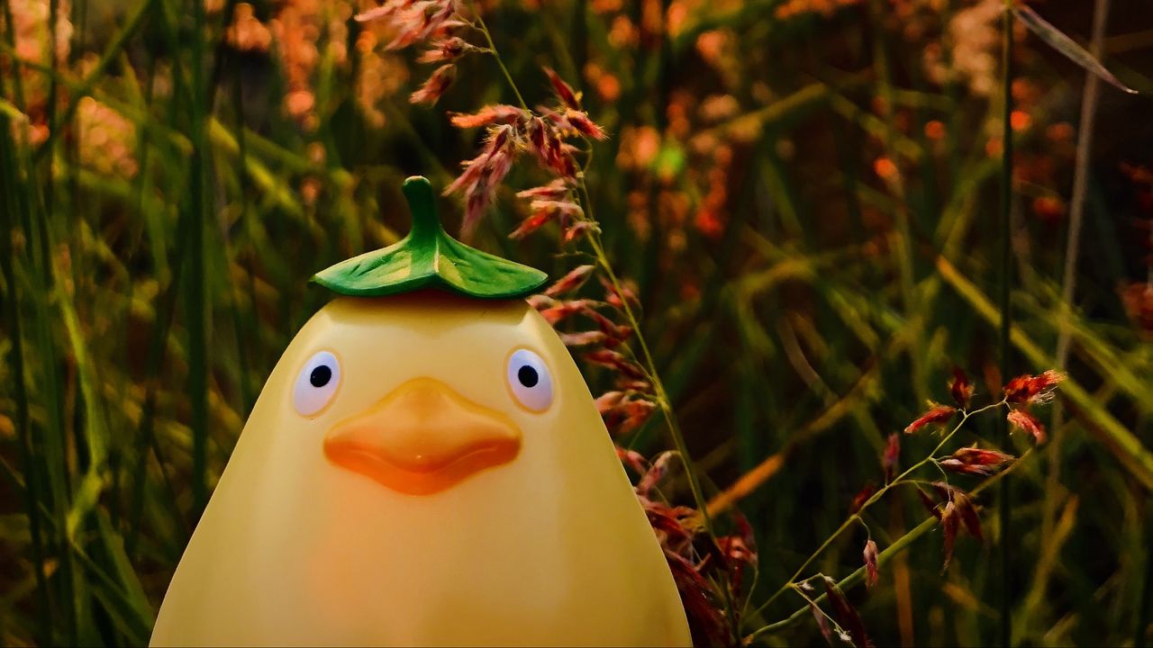 Wallpaper toy, figurine, grass, funny