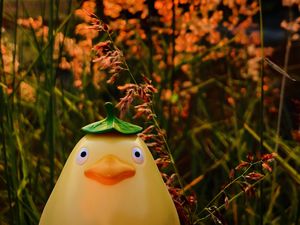 Preview wallpaper toy, figurine, grass, funny