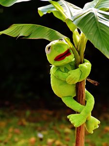 Preview wallpaper toy, kermit the frog, plant