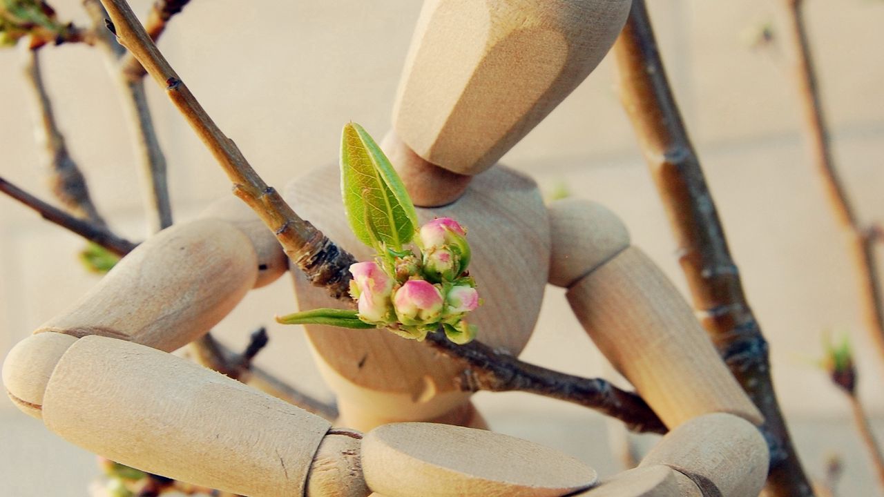 Wallpaper toy, sadness, flowers