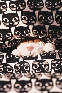 Preview wallpaper toy, teddy, peeking, pattern, cats