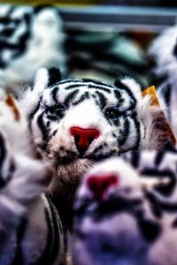 Preview wallpaper toy, tiger, set, blur