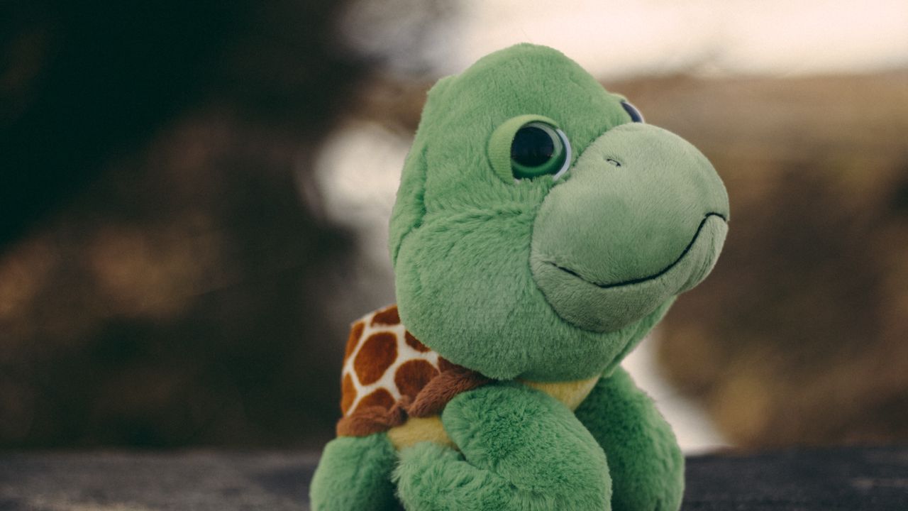 Wallpaper toy, turtle, plush