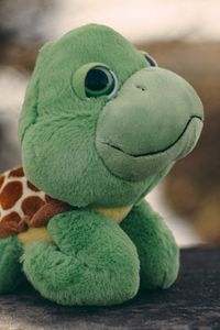 Preview wallpaper toy, turtle, plush