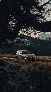 Preview wallpaper toyota, car, suv, side view, branches, road