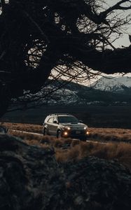 Preview wallpaper toyota, car, suv, side view, branches, road