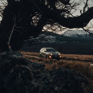 Preview wallpaper toyota, car, suv, side view, branches, road