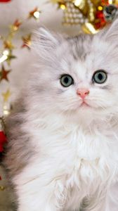 Preview wallpaper toys, bows, gifts, new year, cat, fluffy