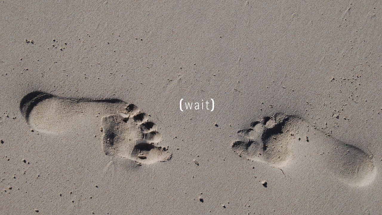 Wallpaper traces, sand, footprint, gray