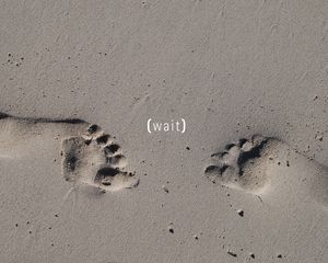 Preview wallpaper traces, sand, footprint, gray