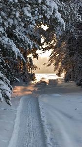 Preview wallpaper track, ski track, snow, winter, trees, snow-covered, attire