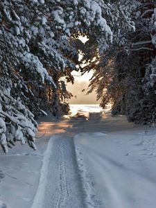 Preview wallpaper track, ski track, snow, winter, trees, snow-covered, attire