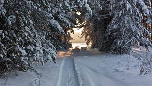 Preview wallpaper track, ski track, snow, winter, trees, snow-covered, attire