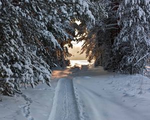 Preview wallpaper track, ski track, snow, winter, trees, snow-covered, attire