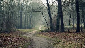 Preview wallpaper track, wood, leaves, earth, autumn, emptiness, fog, dampness