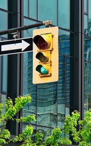 Preview wallpaper traffic light, building, reflection, branches