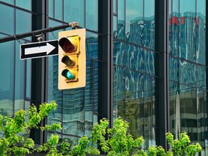 Preview wallpaper traffic light, building, reflection, branches