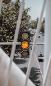Preview wallpaper traffic light, dove, bird, signal, yellow