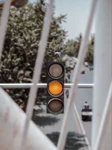 Preview wallpaper traffic light, dove, bird, signal, yellow