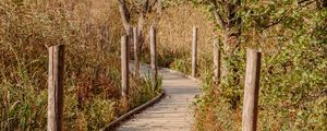 Preview wallpaper trail, boards, bushes, trees