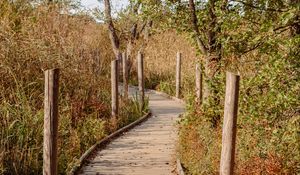 Preview wallpaper trail, boards, bushes, trees