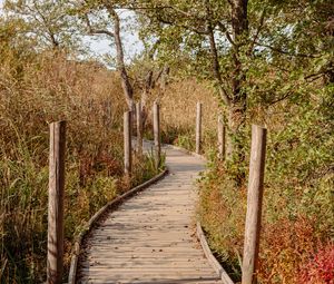 Preview wallpaper trail, boards, bushes, trees