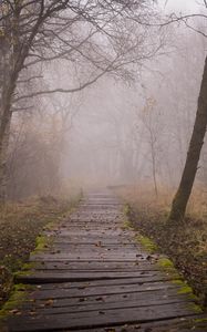 Preview wallpaper trail, boards, forest, fog, trees