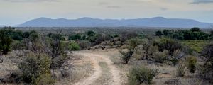 Preview wallpaper trail, bushes, horizon, mountains