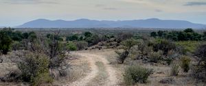 Preview wallpaper trail, bushes, horizon, mountains